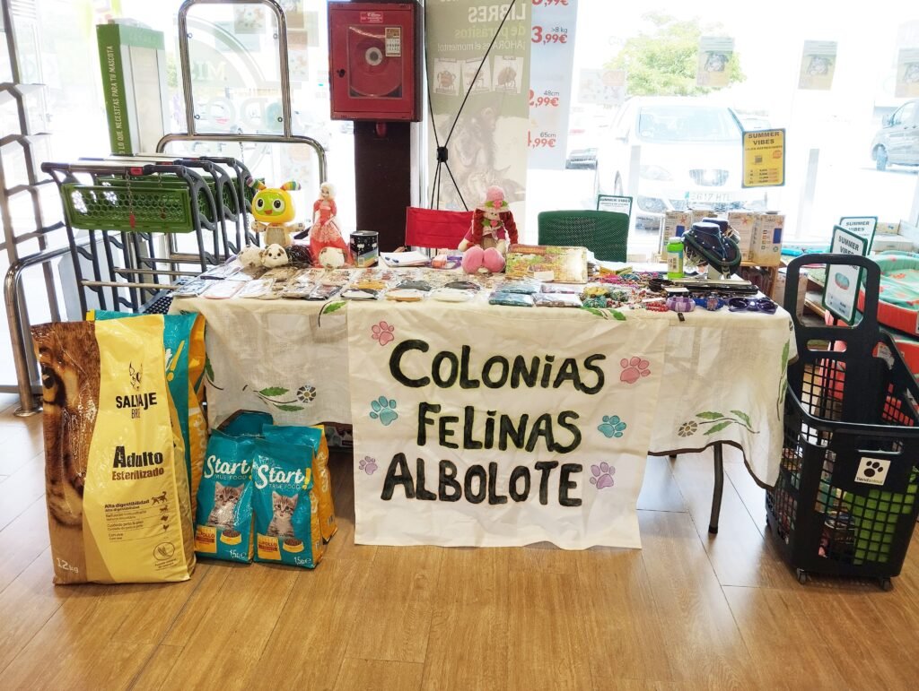 Alimentos reunidos en el transcurso de la mañana.