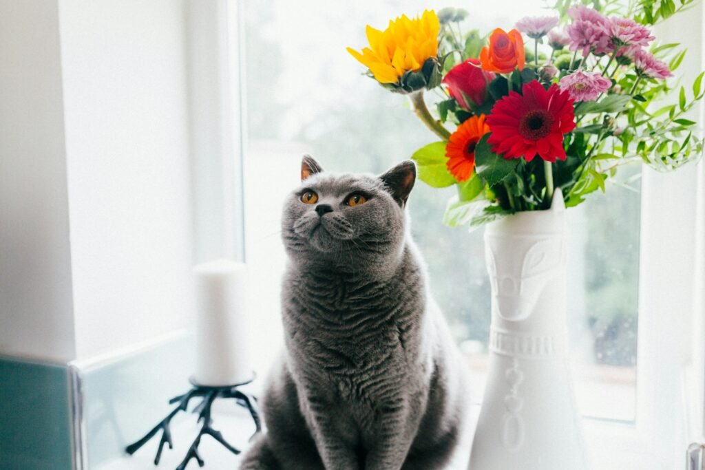 Gato posando al lado de un florero. Foto de Josh Couch en Unsplash.